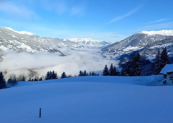 Dornauer ヒパッハ