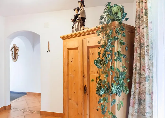 Dornauer * ヒパッハ