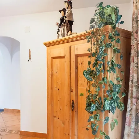 Dornauer * היפאך